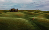 Busy tractor in Val d'Orcia Poster och Canvastavla
