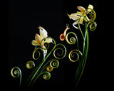 Yellow Orchid Mantis Poster och Canvastavla
