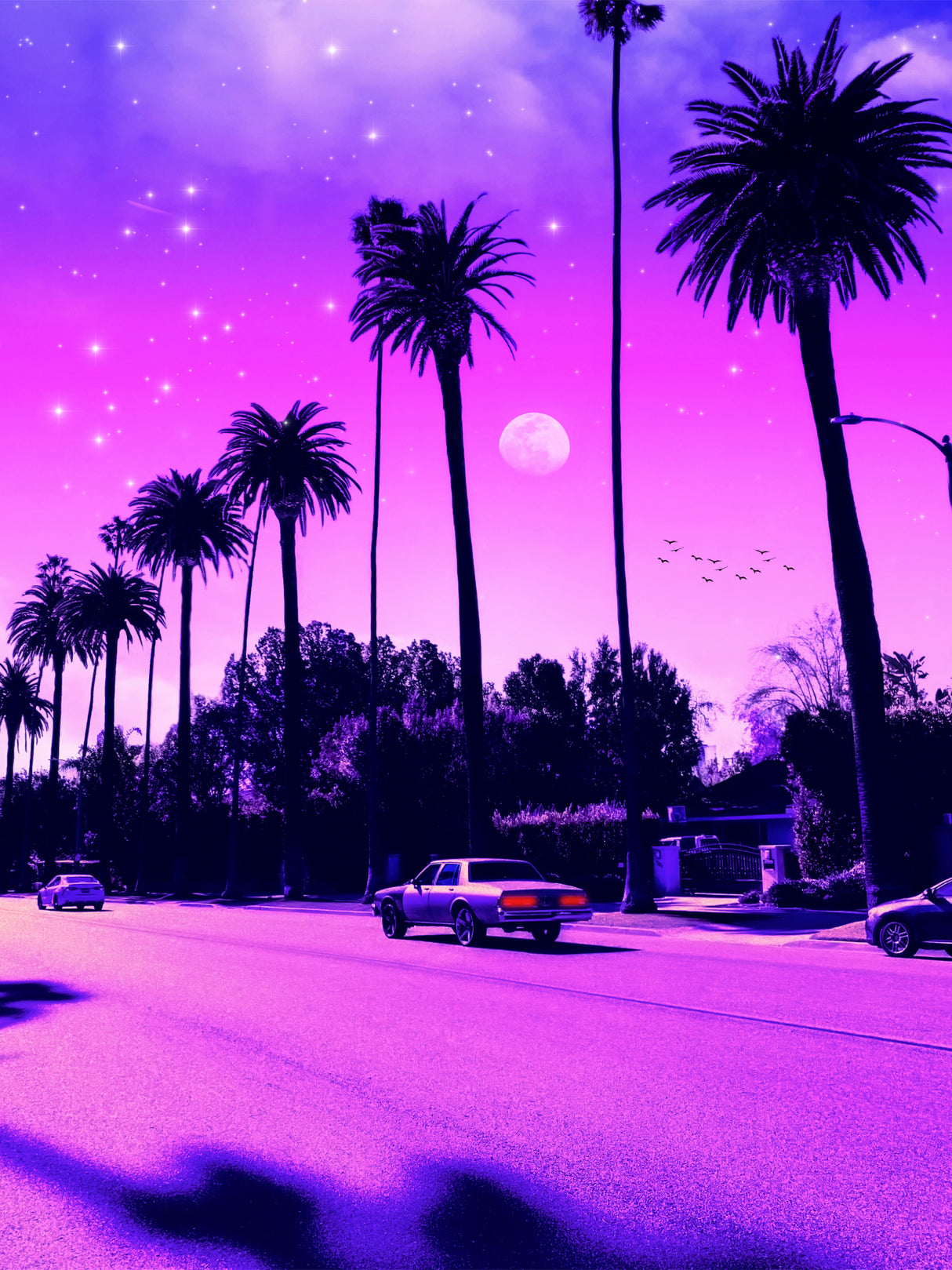 Aesthetic Cali Drive Poster och Canvastavla