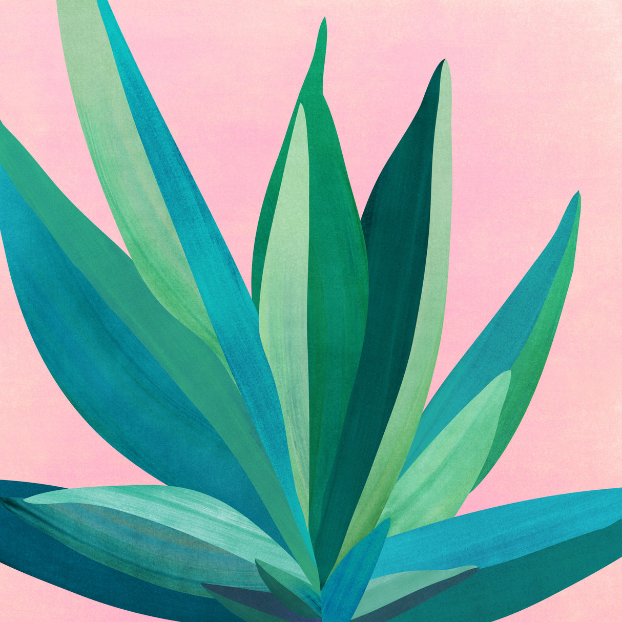 Colorful Agave 4 Poster och Canvastavla
