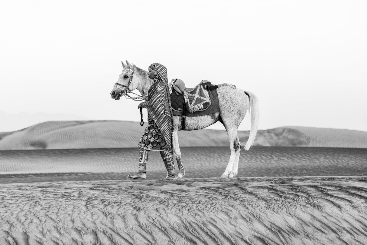 Horse love Poster och Canvastavla