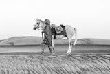 Horse love Poster och Canvastavla