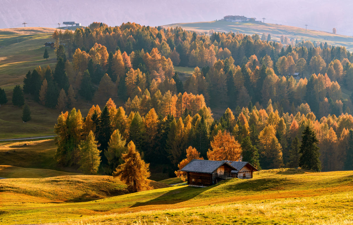 Autumn at Alpe Di Siusi Poster och Canvastavla