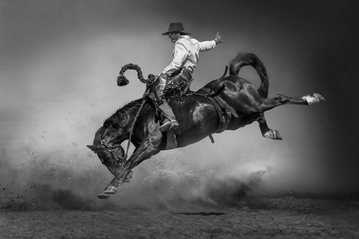 The Cowboy Style Poster och Canvastavla