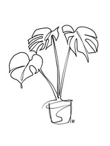 House Plant Poster och Canvastavla