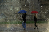 rainy day Poster och Canvastavla
