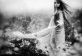 The wind talks about you... Poster och Canvastavla