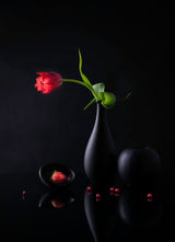 Tulip And Strawberry Poster och Canvastavla