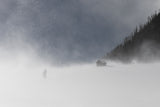 snow storm Poster och Canvastavla