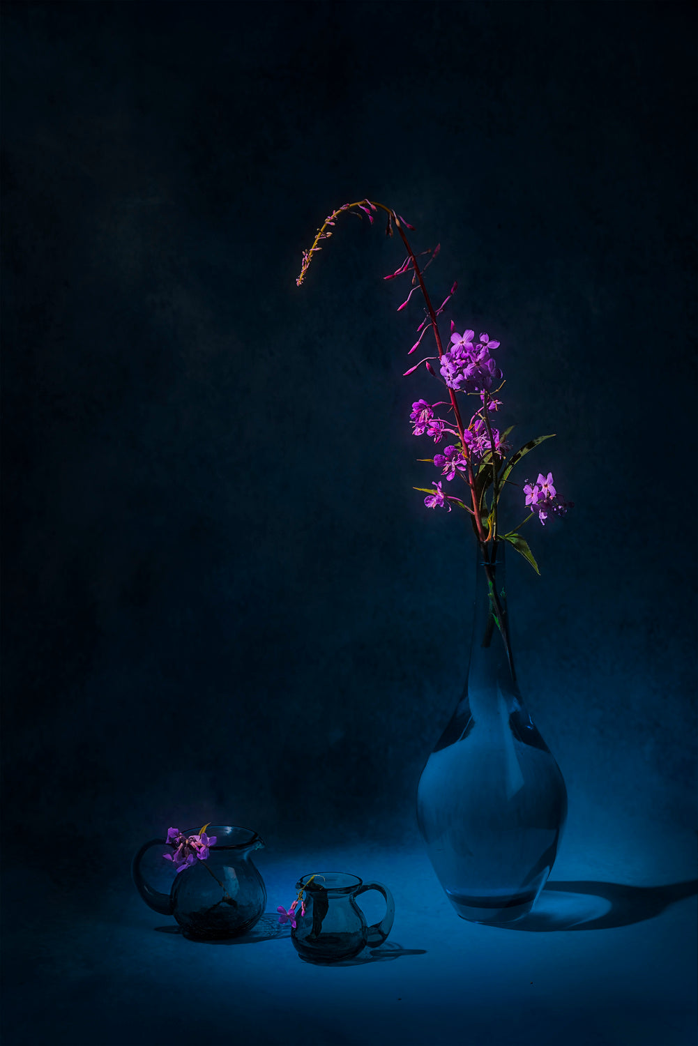 Summer purple flowers Poster och Canvastavla