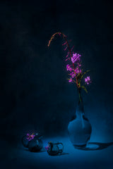 Summer purple flowers Poster och Canvastavla