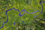 River in forest Poster och Canvastavla