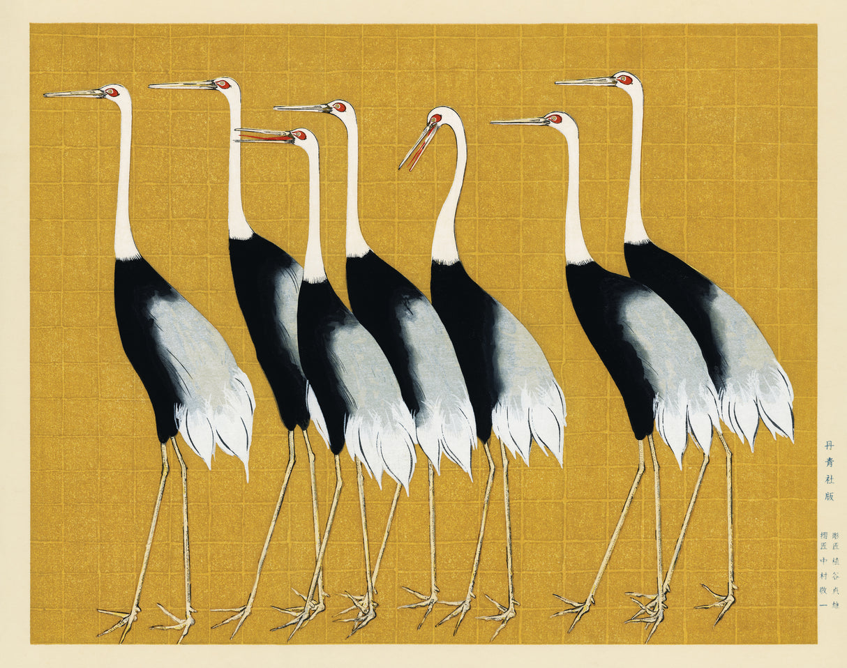 Japanese Red Crown Crane Poster och Canvastavla