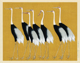 Japanese Red Crown Crane Poster och Canvastavla