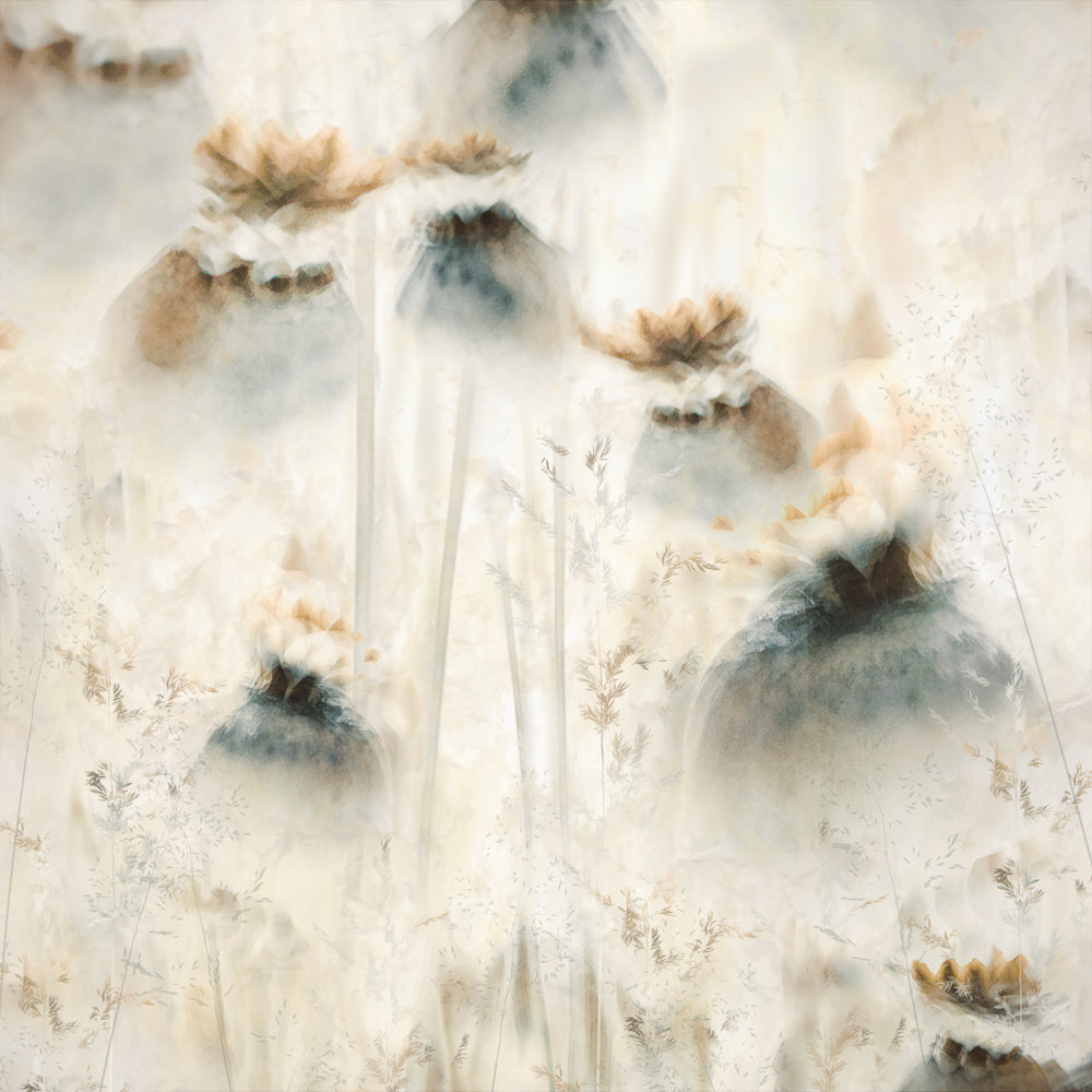 Seed pods Poster och Canvastavla