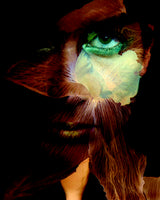 Dark Spring Poster och Canvastavla