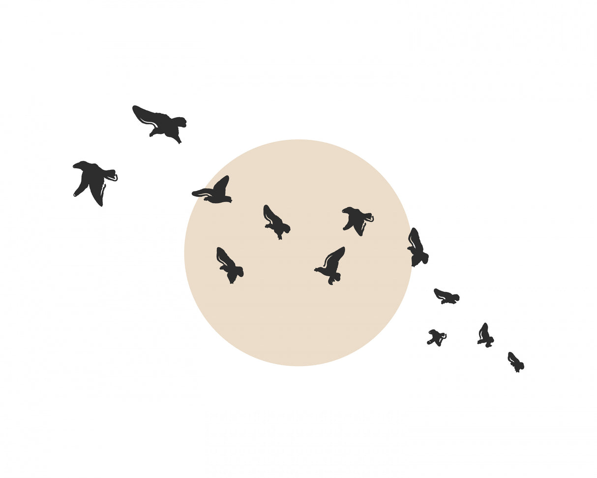 Flock Poster och Canvastavla