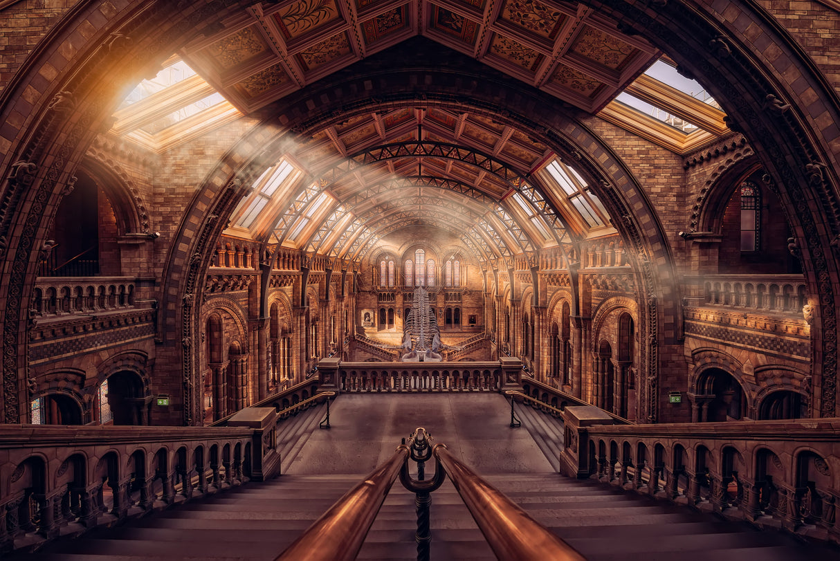 Natural History Museum - London Poster och Canvastavla