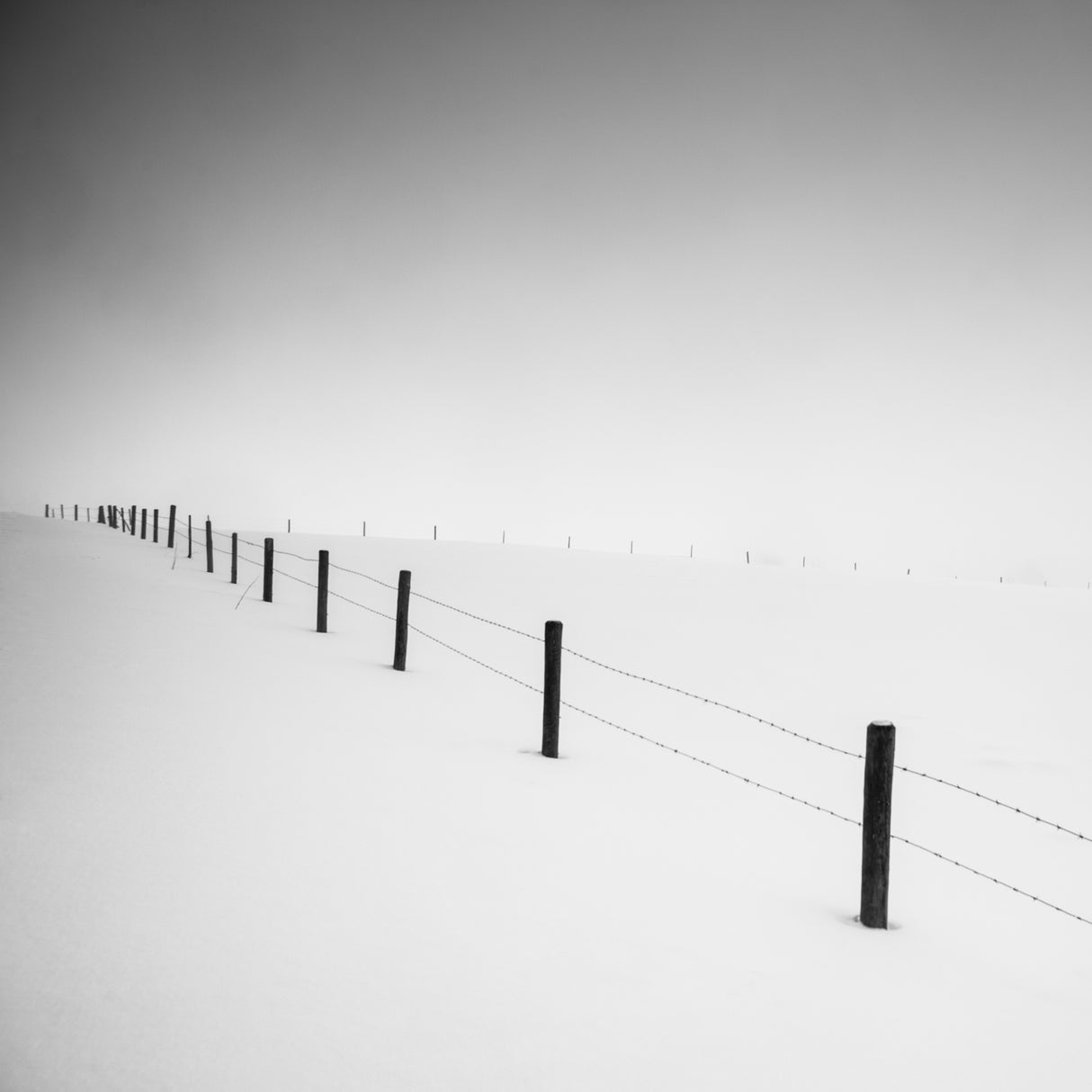 Finally winter Poster och Canvastavla