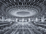 Eye of Shenzhen Poster och Canvastavla