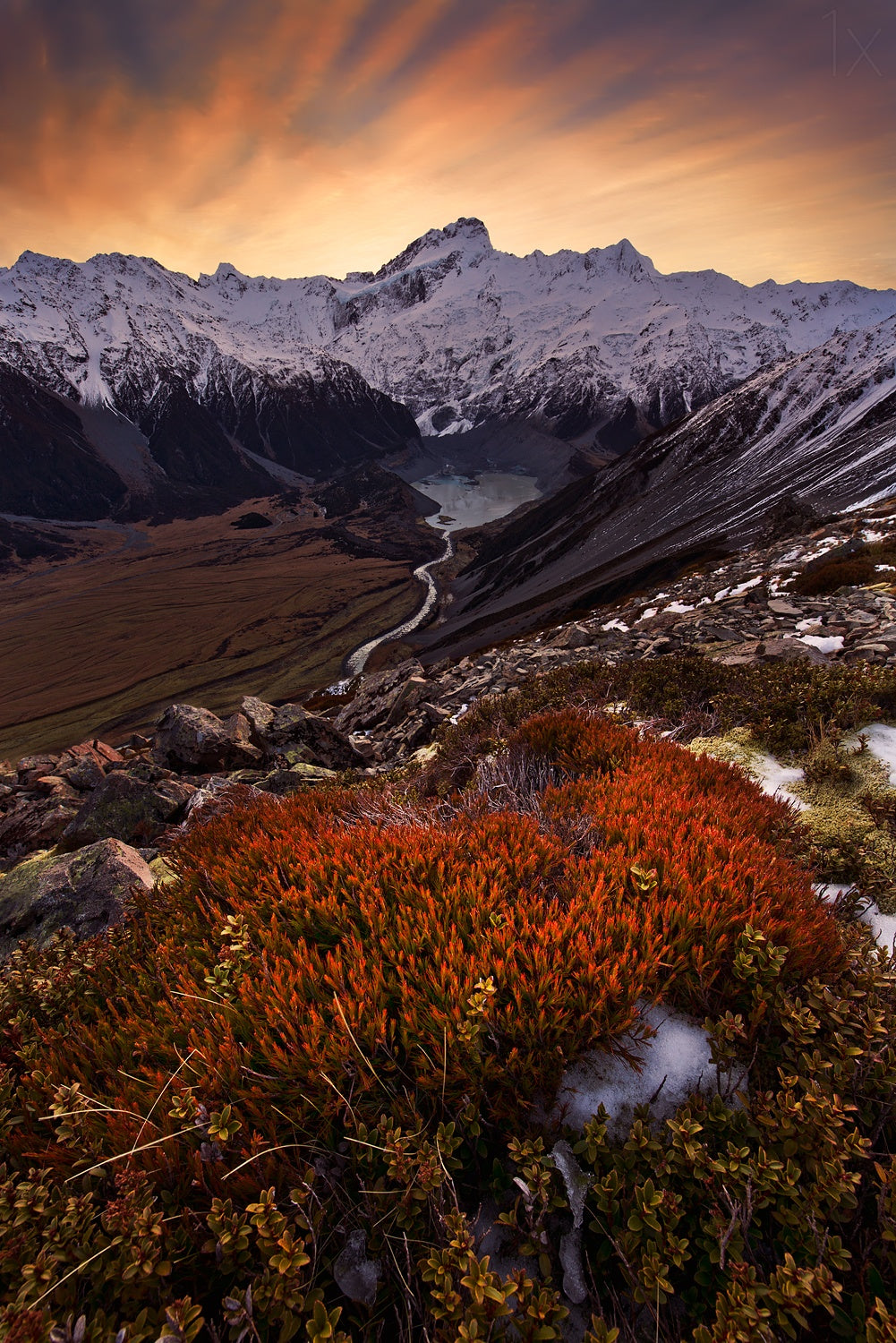 Mount Sefton Poster och Canvastavla