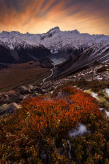 Mount Sefton Poster och Canvastavla