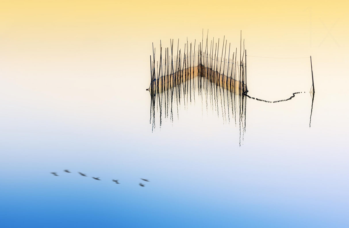 Flight on Lake Poster och Canvastavla