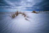 Beach White Poster och Canvastavla