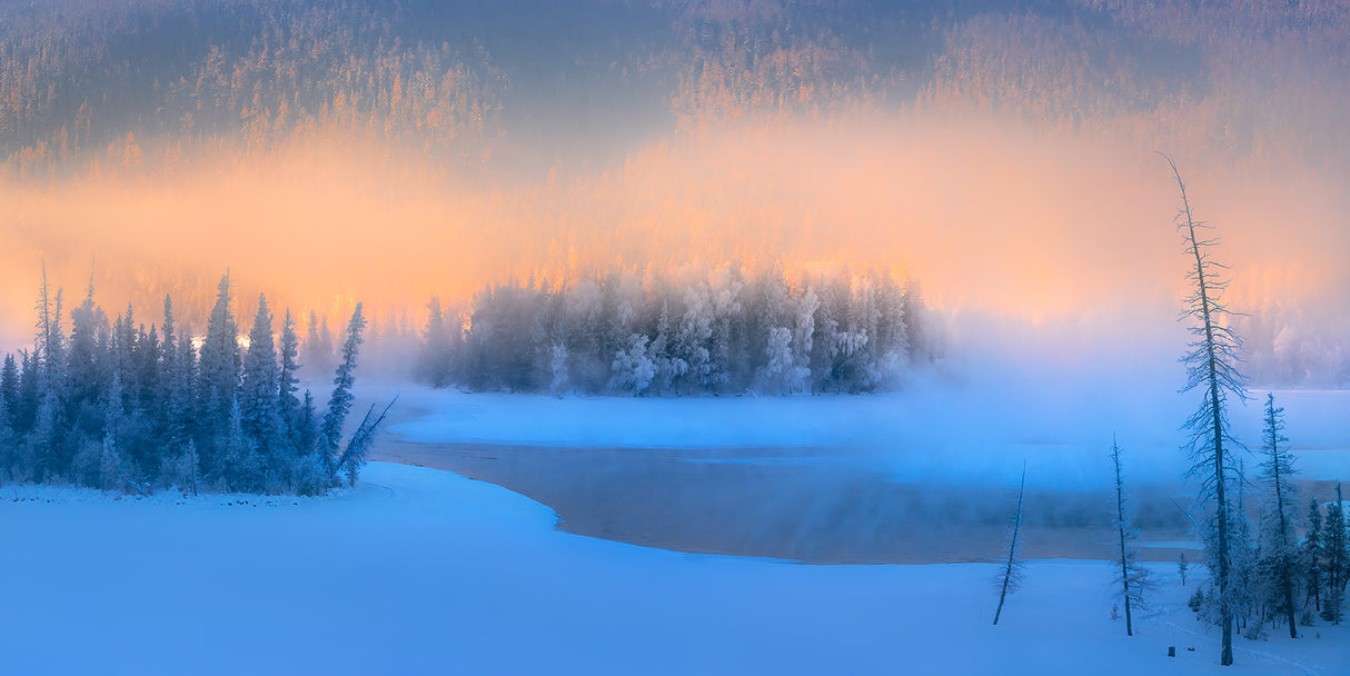 Winter morning mist in the Magic Bay Poster och Canvastavla
