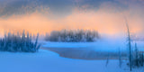 Winter morning mist in the Magic Bay Poster och Canvastavla