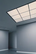 Skylight Poster och Canvastavla