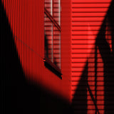 Who is afraid of red? Poster och Canvastavla