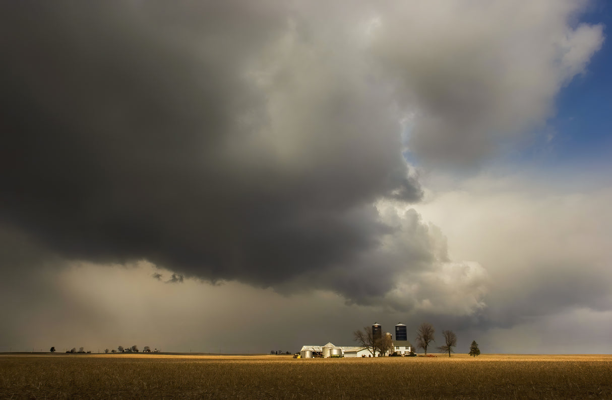 Storm over the Farm Poster och Canvastavla