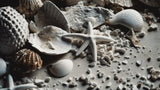 Beach Impressions No 51 Poster och Canvastavla