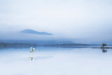 TRANQUILITY Poster och Canvastavla