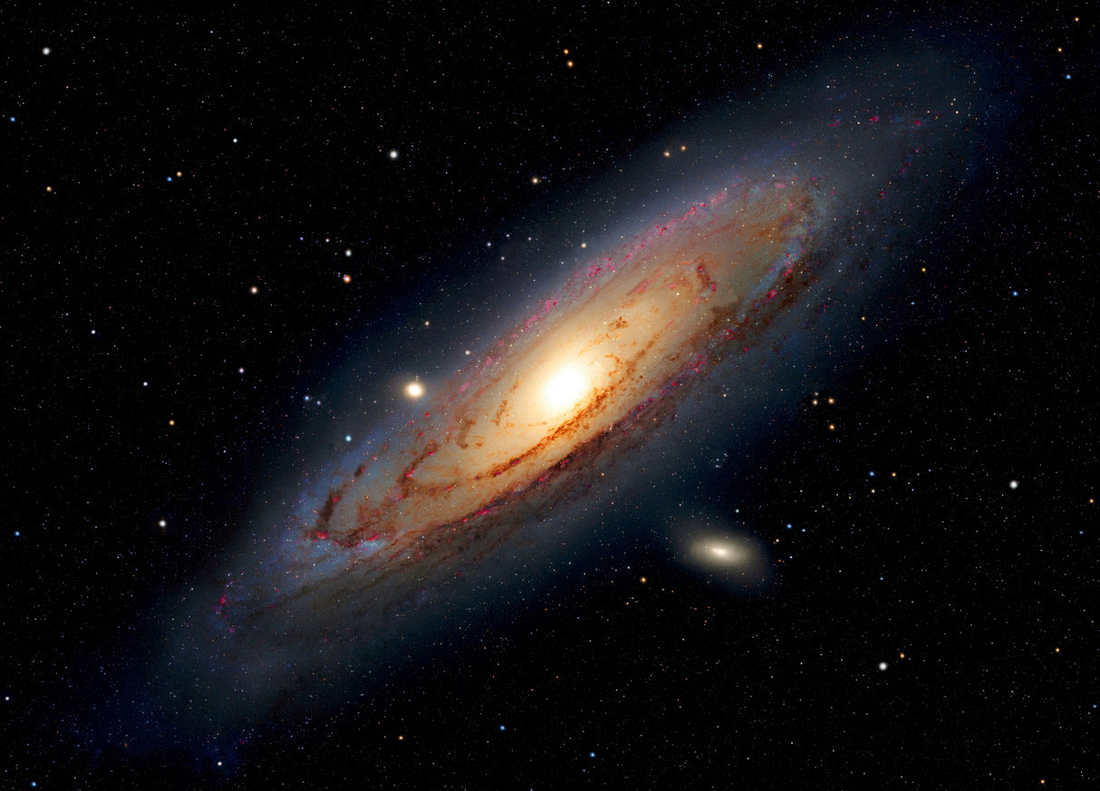 The Andromeda Galaxy Poster och Canvastavla