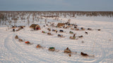Morning in Nenets camp Poster och Canvastavla