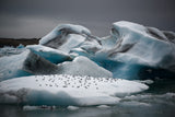 In the Land of Fire and Ice Poster och Canvastavla