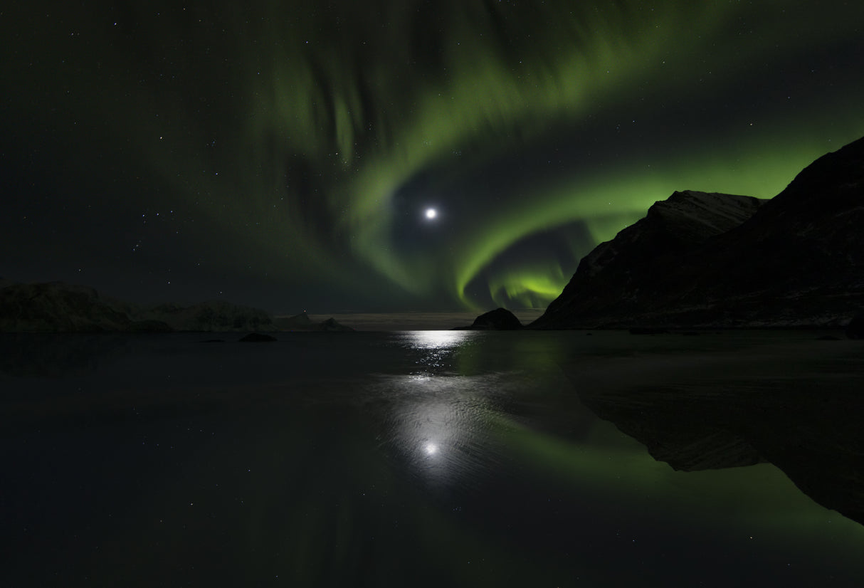 Green enchantress Poster och Canvastavla