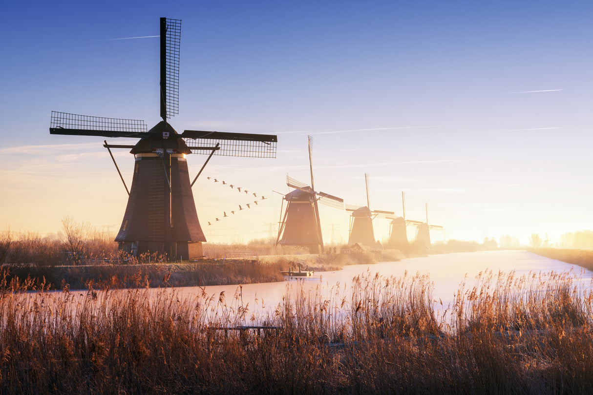 Kinderdijk 4. Poster och Canvastavla
