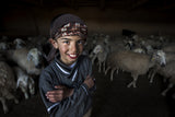 little shepherd Poster och Canvastavla