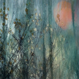 Full moon Poster och Canvastavla