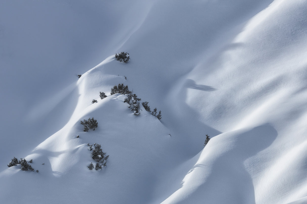 snow Poster och Canvastavla