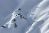 snow Poster och Canvastavla