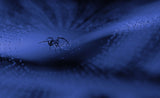 The dark web... Poster och Canvastavla