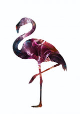 Flamingo Silhouette Poster och Canvastavla