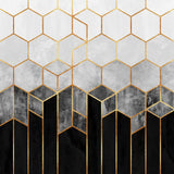 Charcoal Hexagons Poster och Canvastavla