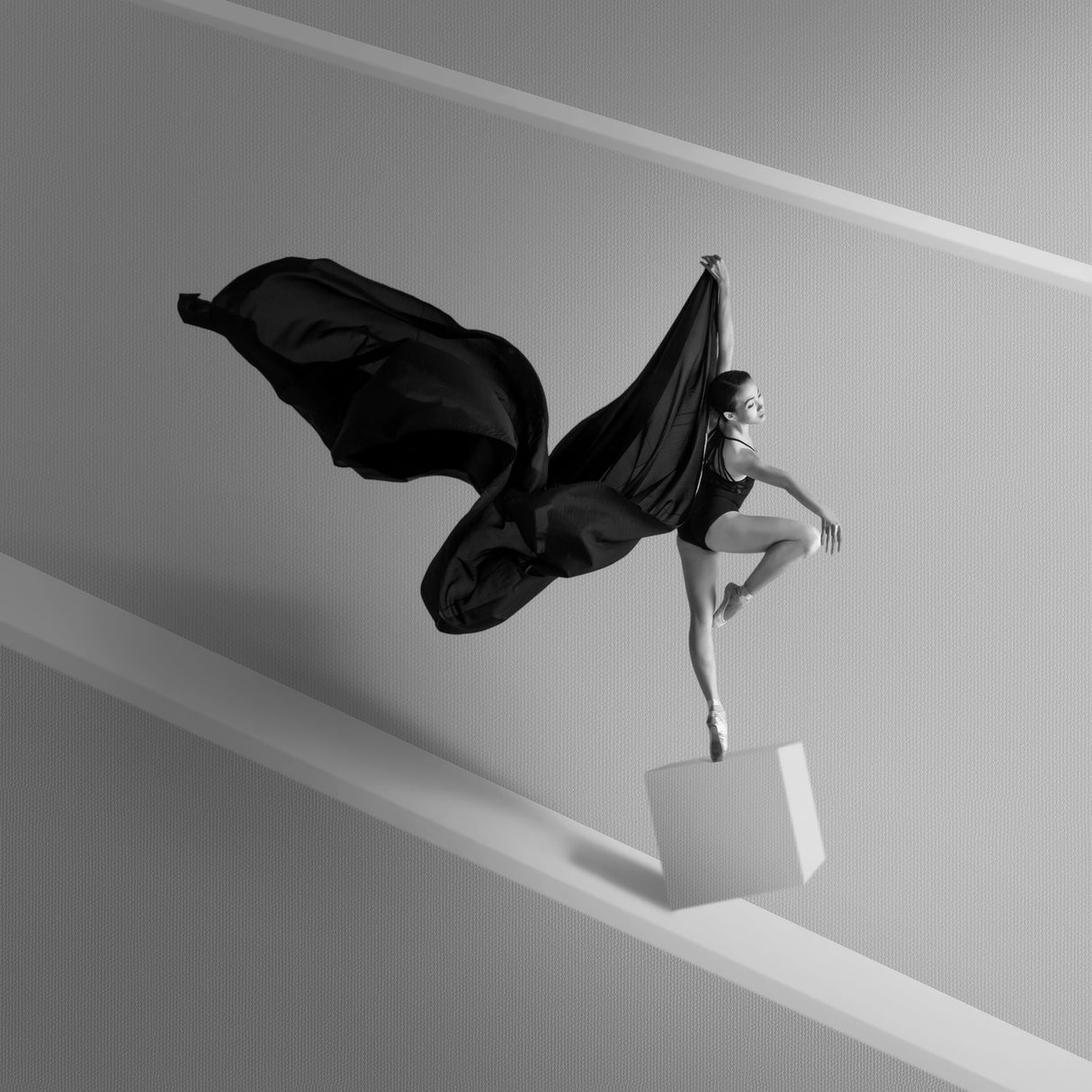 Black Swan Poster och Canvastavla