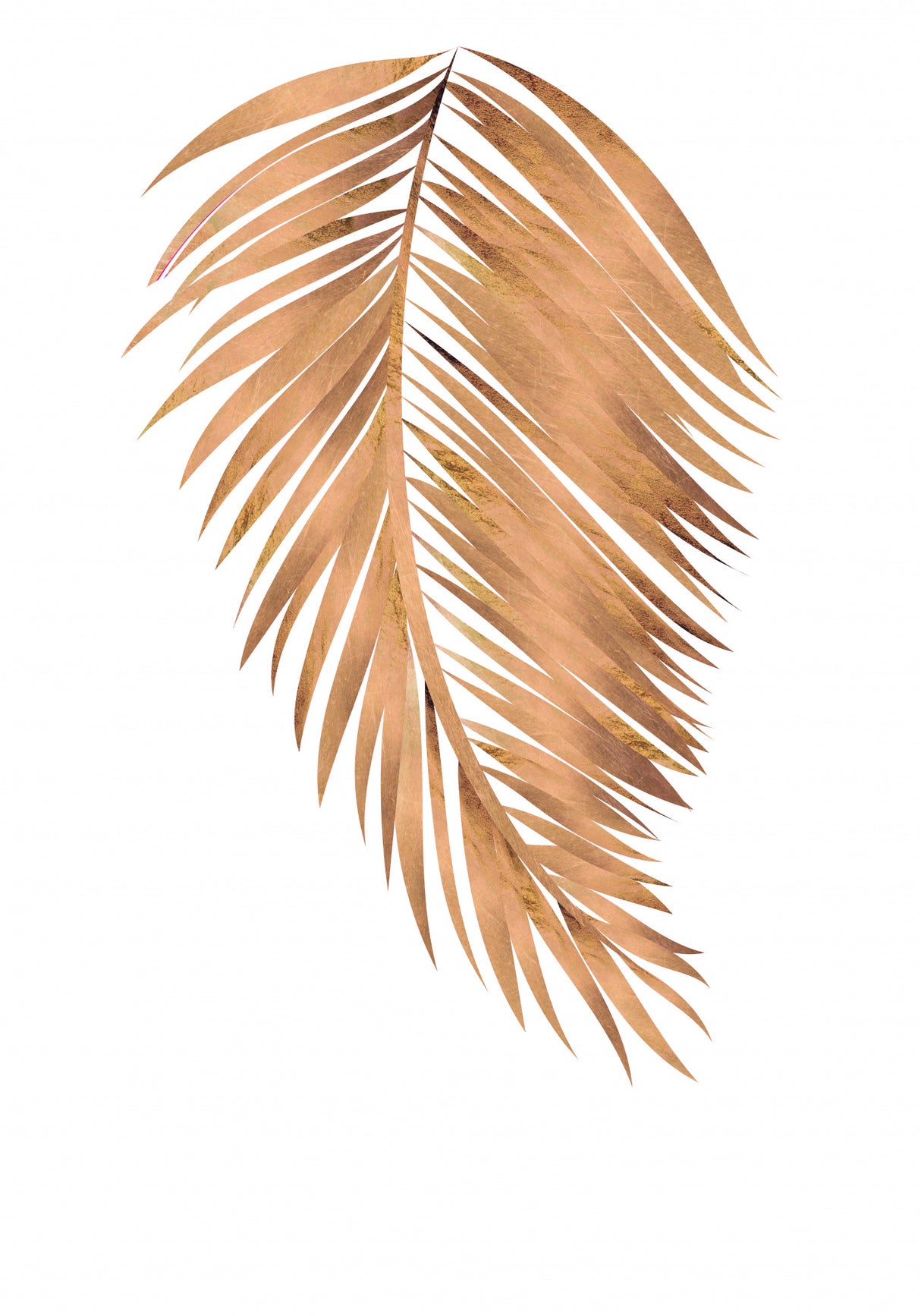 Copper gold palm, leaf 4 Poster och Canvastavla