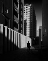The city dominated by shadows Poster och Canvastavla